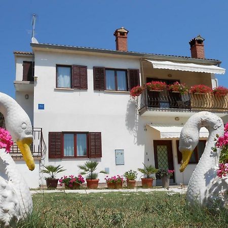 Apartman Mirela Rovinj Exteriér fotografie