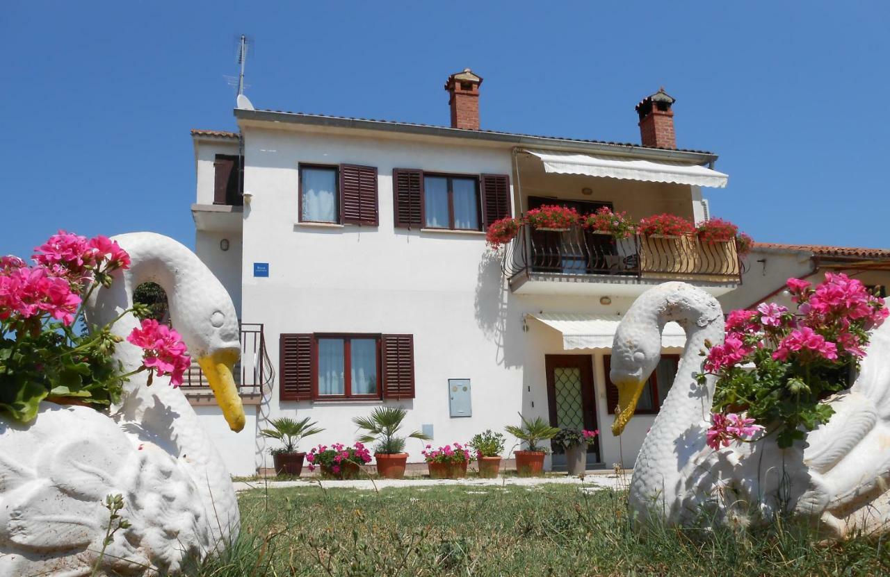 Apartman Mirela Rovinj Exteriér fotografie